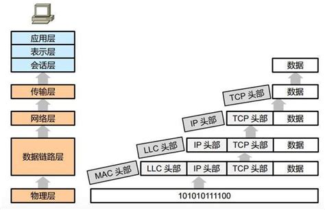 網路七層口訣|OSI模型